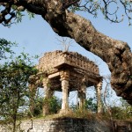 maharaja anirudh singh chhatri1 (1180)